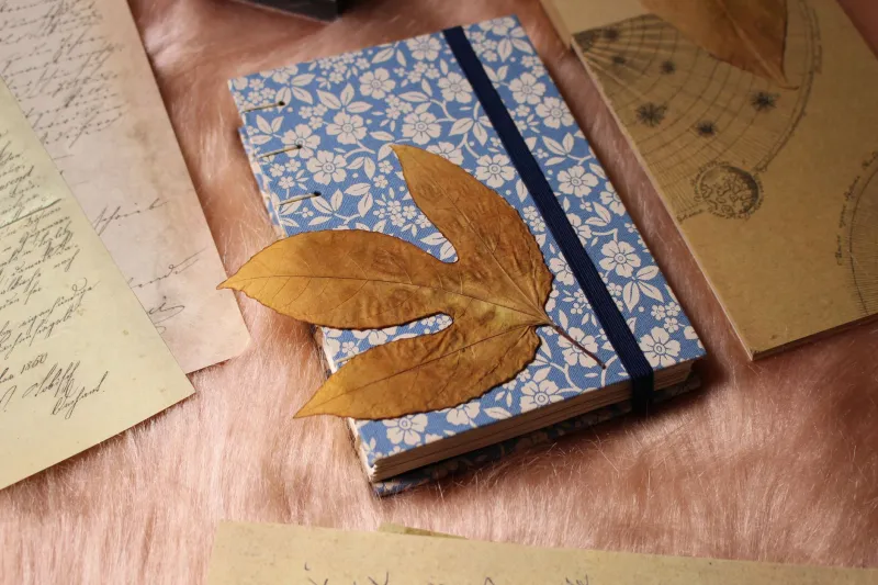 Torn Edges and Train Tickets: How the Scraps You Save Are Actually Writing Your Life Story